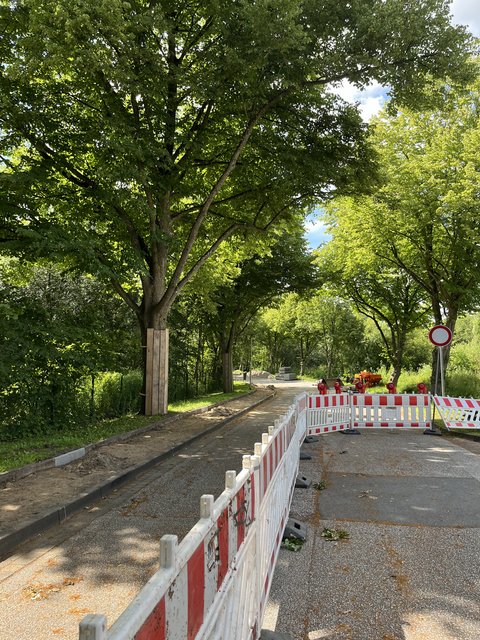 Straßensanierung der Windallee